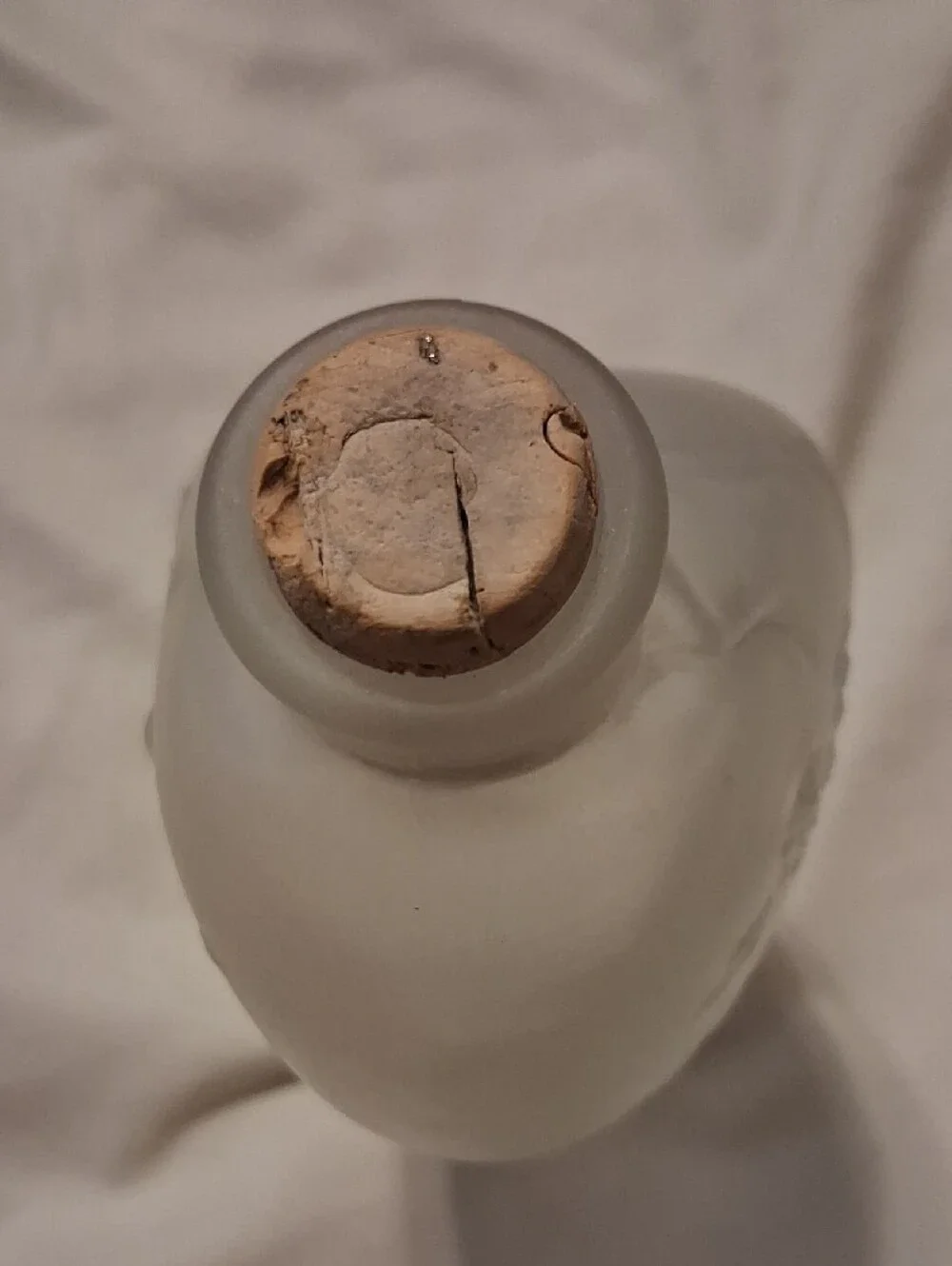 Frosted Fish-Shaped Glass Bottle - Doctor Sisson's Bitter Style